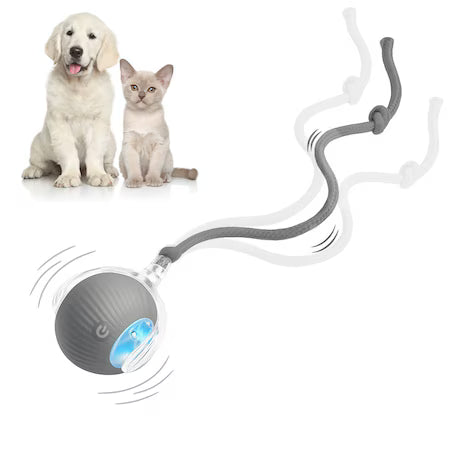 Interactive Cat Toy Ball Super Drive Cat Rolling Ball with Silicone material