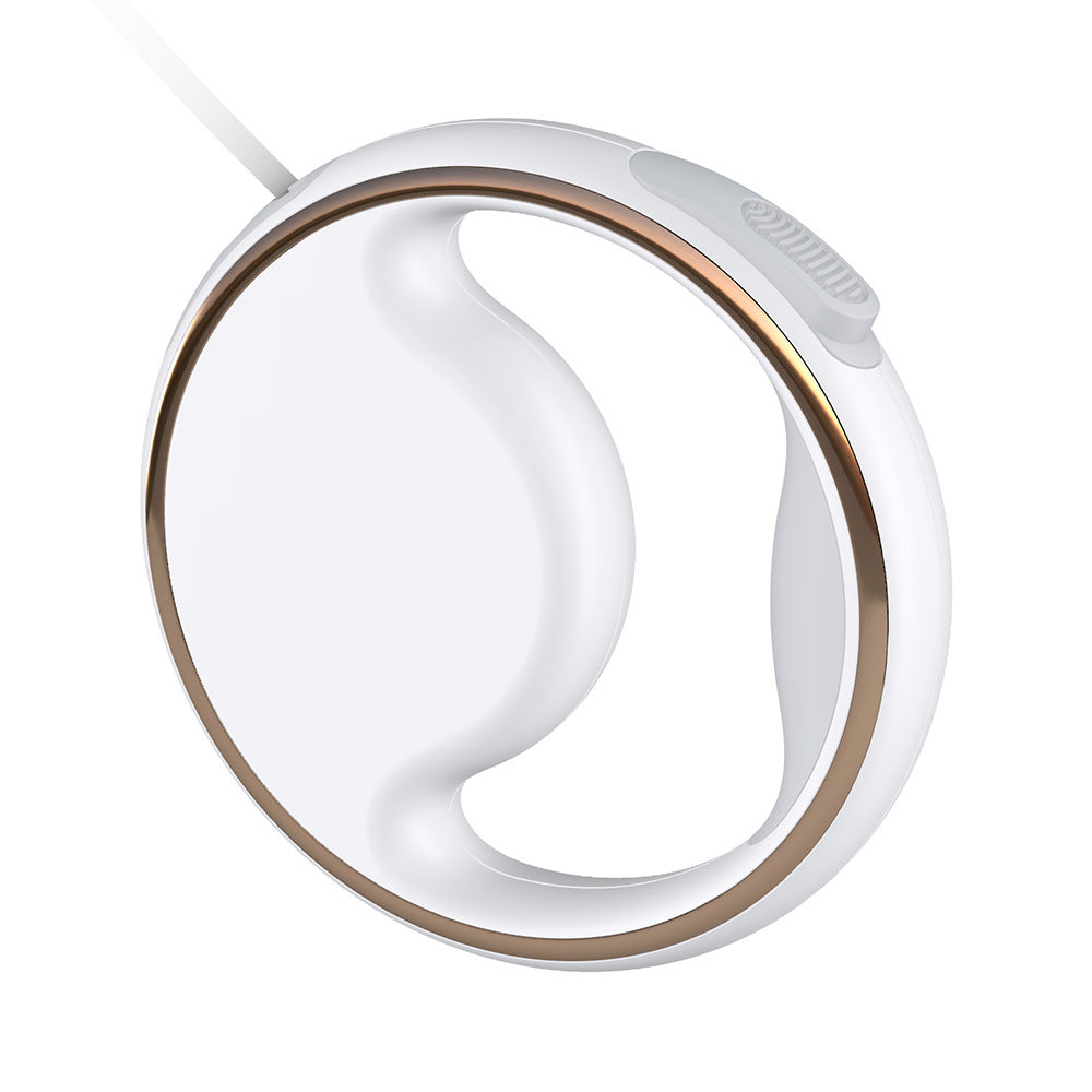 Strong and stylish leash with built-in LED for safe night walks