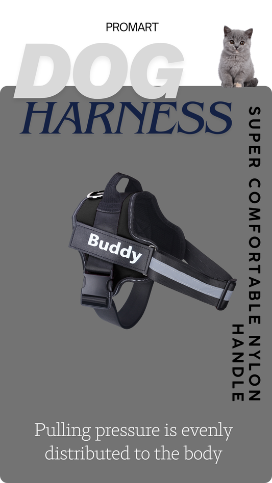 Personalized Dog Harness NO PULL Reflective Breathable Adjustable Pet Harness Vest For Small Large Dog Custom Patch Pet Supplies