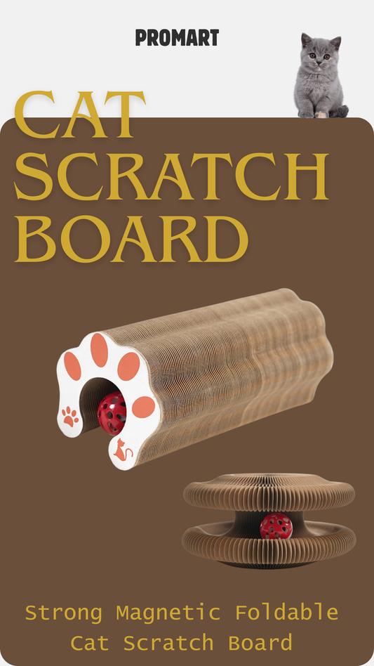 Organ Cat Scratch Board Strong Magnetic Foldable Self-Hi Toy