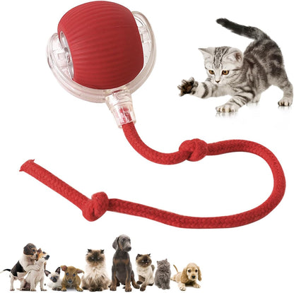 Interactive Cat Toy Ball Super Drive Cat Rolling Ball with Silicone material