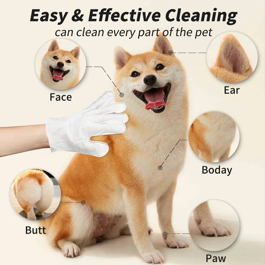 Pet Disposable Gloves Cat Dog Dry Cleaning Gloves Pet Products