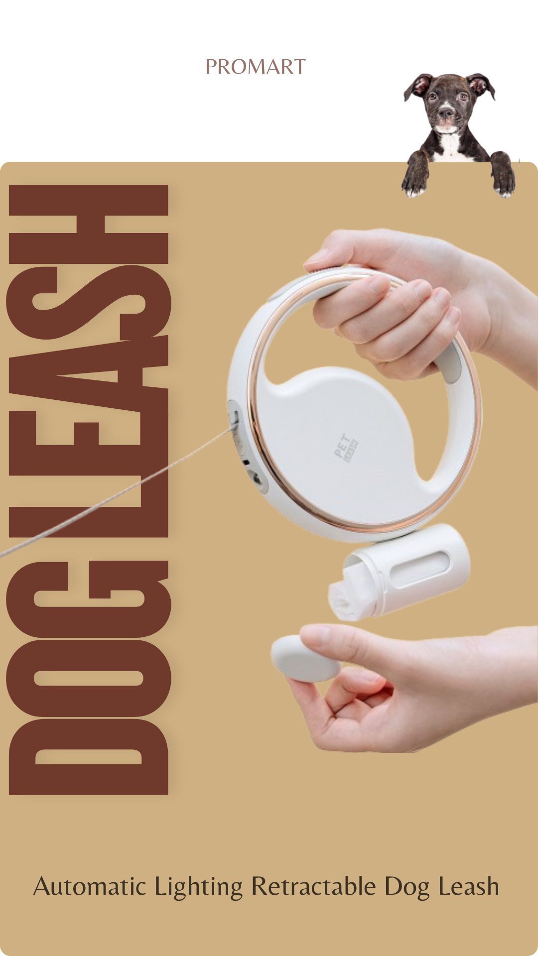 RICH LOOK Automatic Lighting Retractable Dog Leash