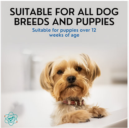 Pet Shampoo 473ml Five-in-one Soft And Clean Cats And Dogs Pet Shower Gel Shampoo