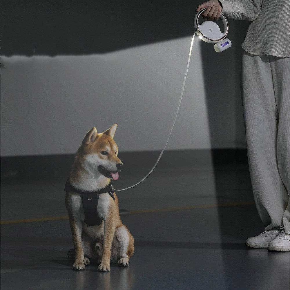 RICH LOOK Automatic Lighting Retractable Dog Leash